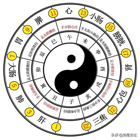 太極兩儀|太極、兩儀、四象、八卦？這篇文章讓你明白它們是什。